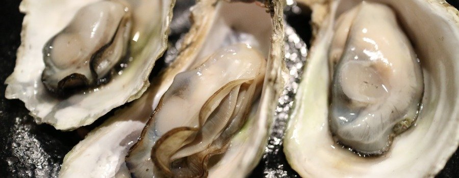 HOW TO OPEN, OR SHUCK, AN OYSTER